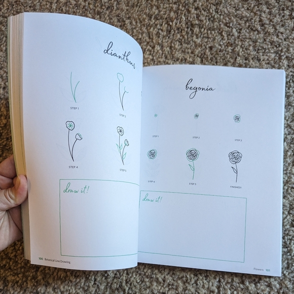 Botanical Line Drawing 200 Step-by-step cacti, leaves, flowers, succulents - Picture 7 of 16